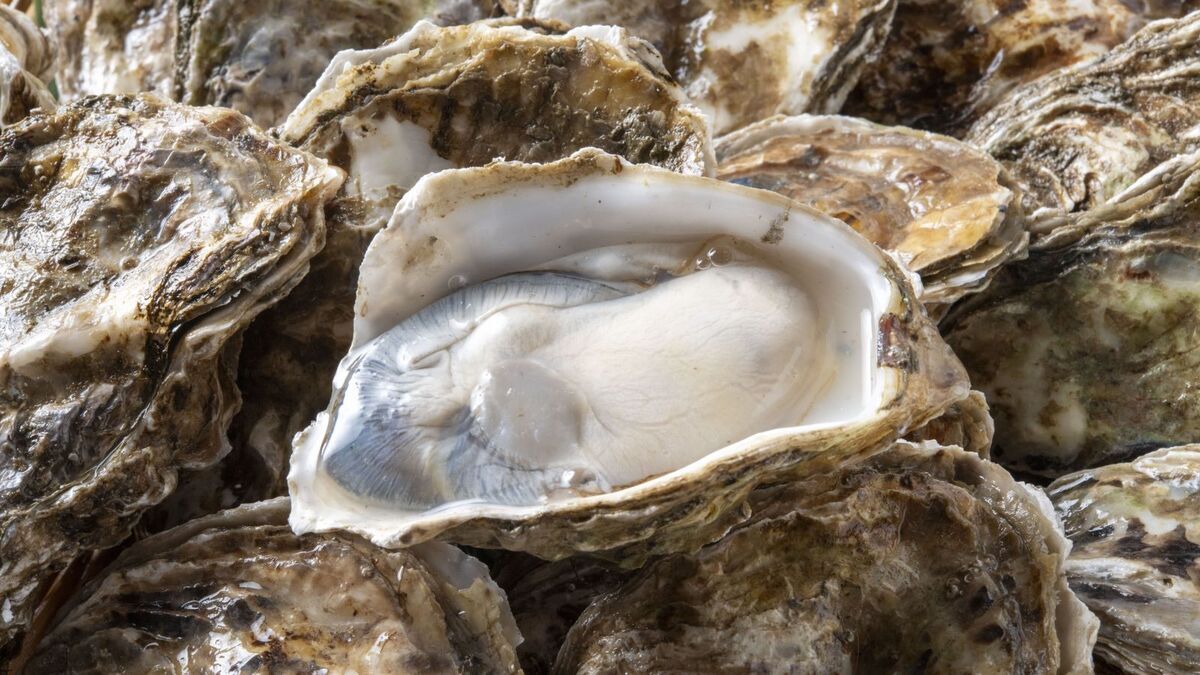 Он пугает весь мир, а сам боится этих крошек: еда, к которой Стивен Кинг никогда не притронется — "Это ужасно"