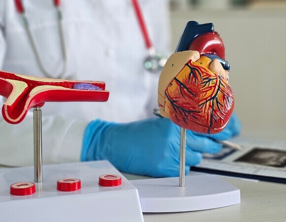 Сосуды в порядке: ученые обнаружили овощи, защищающие от атеросклероза 