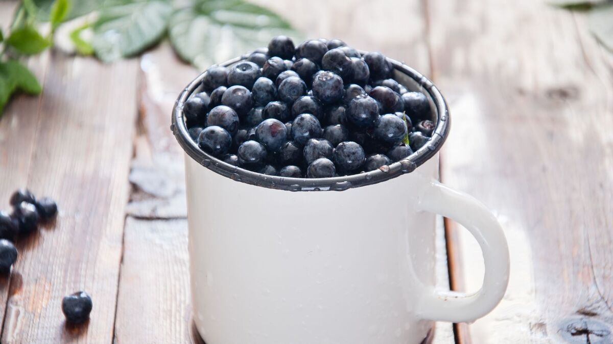 Что будет, если есть чернику каждый день? Диетолог две недели питать ягодой, чтобы проверить