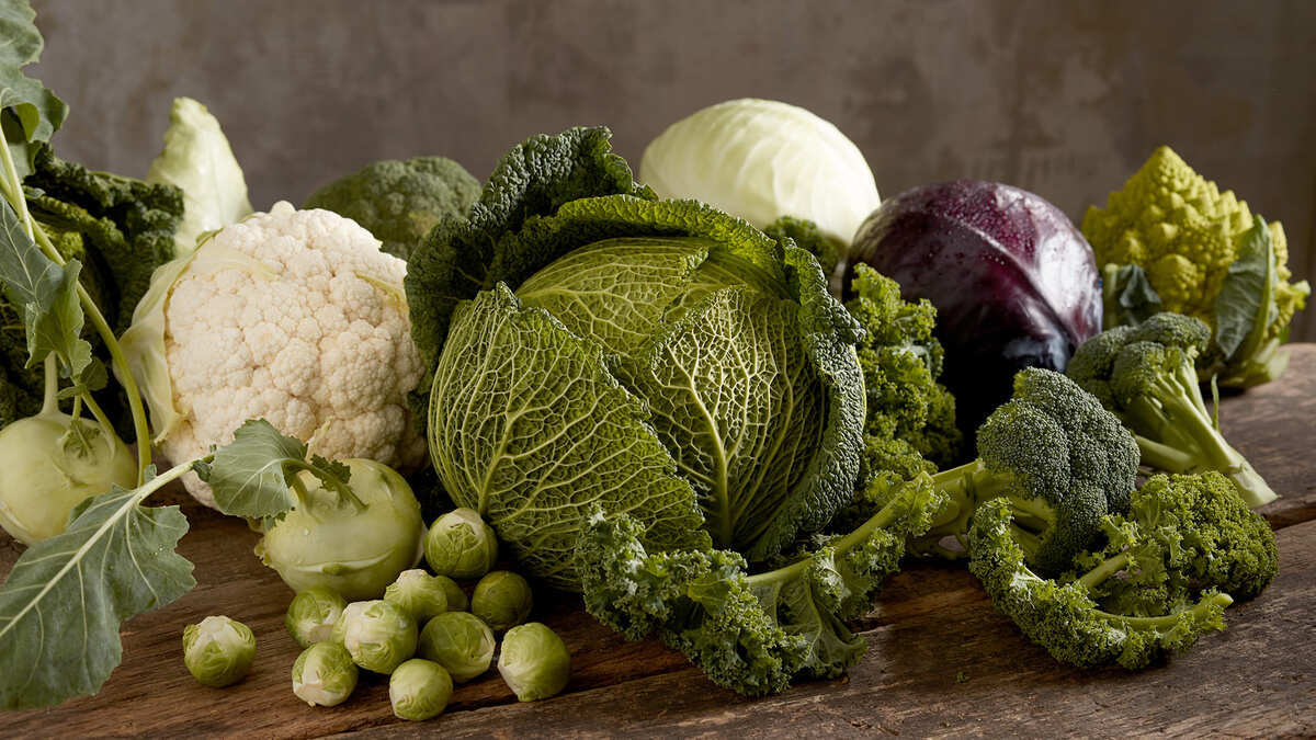 Белокочанная, брокколи и савойская — 3 рецепта блюд из капусты от шеф-поваров