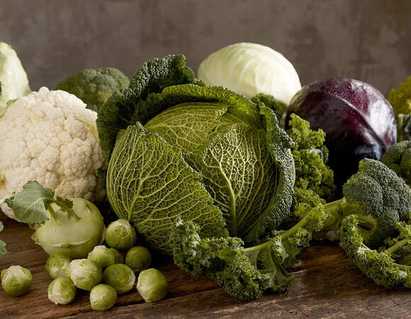 Белокочанная, брокколи и савойская — 3 рецепта блюд из капусты от шеф-поваров