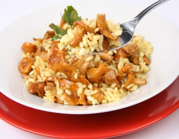 Узнала о сочетаемости грибов от диетолога Русаковой и приготовила "идеальное блюдо": никакого перегруза для ЖКТ