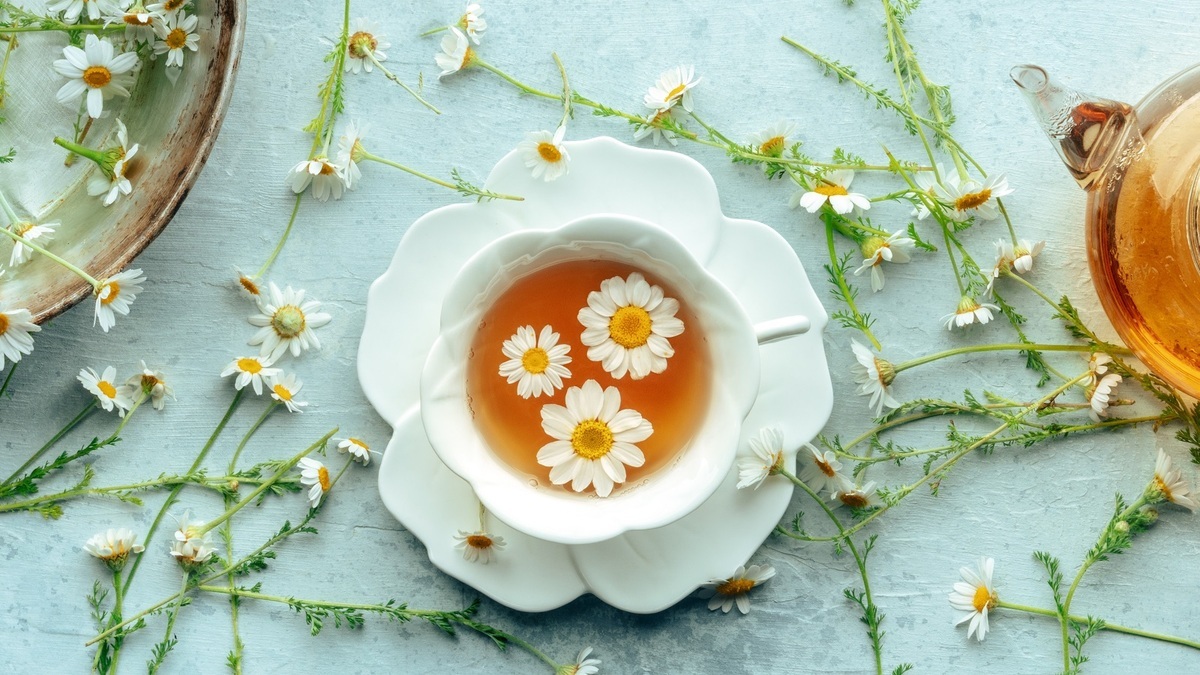 Лавандовый сон в чашке: как приготовить идеальный расслабляющий напиток