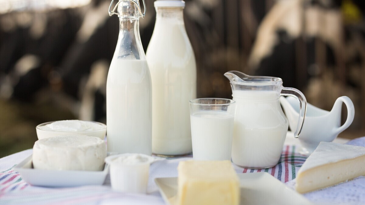 Названы минимум 3 молочных продукта, которые укрепляют кости лучше обычного молока