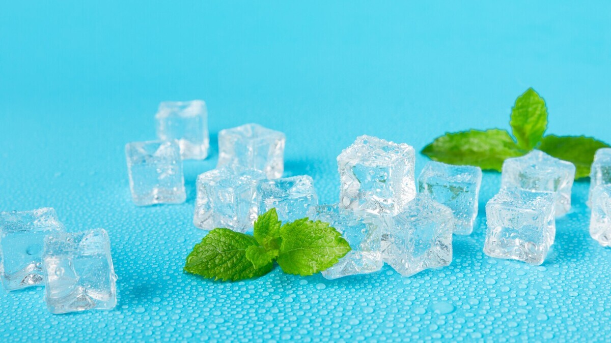 Ученые впервые выяснили, почему мята "охлаждает" вкусовые рецепторы