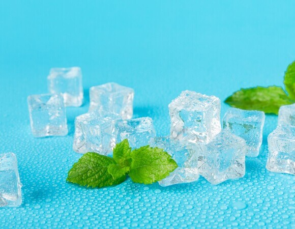 Ученые впервые выяснили, почему мята "охлаждает" вкусовые рецепторы