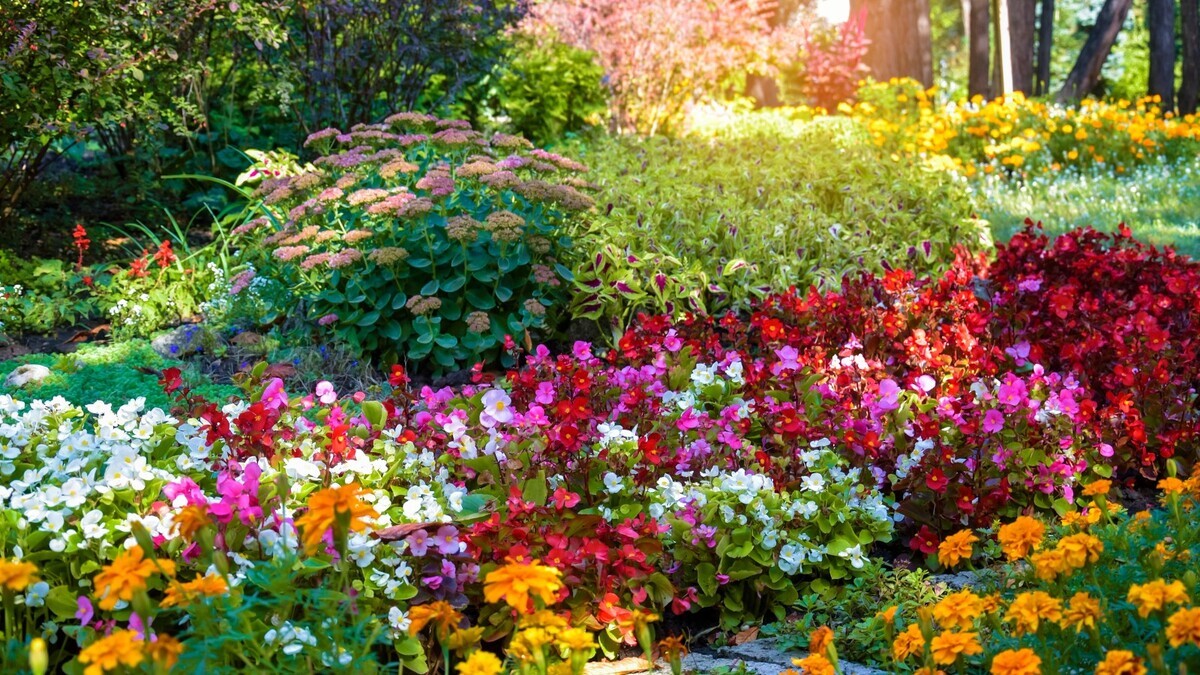 "Воздушные" грядки и многолетники: главные ландшафтные тренды 2026 для дач "Воздушные" грядки и многолетники: главные ландшафтные тренды 2026 для дач