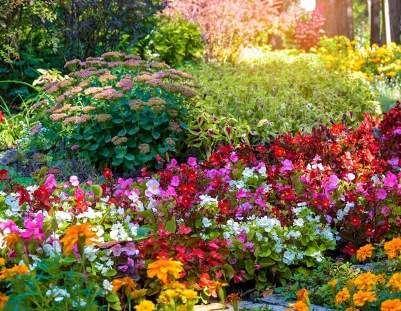 "Воздушные" грядки и многолетники: главные ландшафтные тренды 2026 для дач