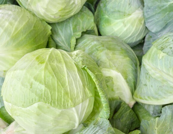 Капуста правит миром: что модно есть в 2026 году – все перевернулось