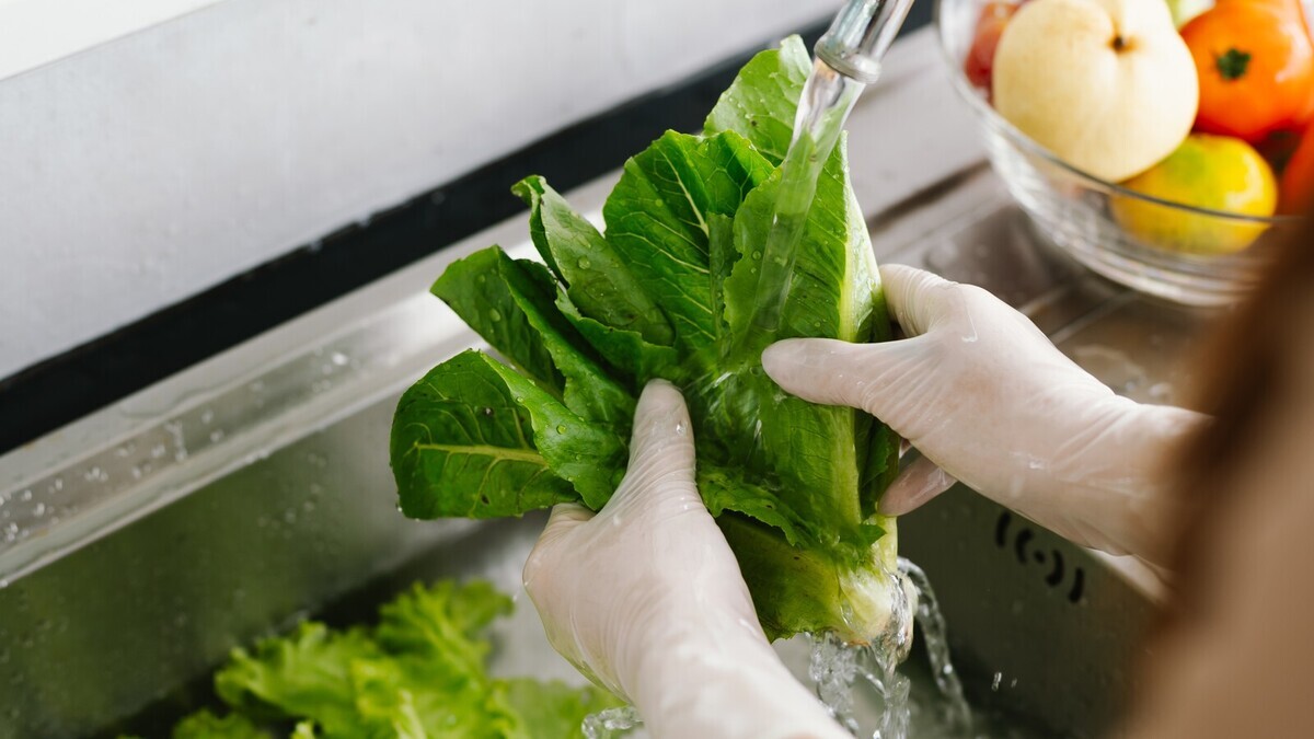 И 10 минут мало! Эксперт РОСБИОТЕХа объяснила, почему мы неправильно обрабатываем овощи и фрукты от пестицидов И 10 минут мало! Эксперт РОСБИОТЕХа объяснила, почему мы неправильно обрабатываем овощи и фрукты от пестицидов