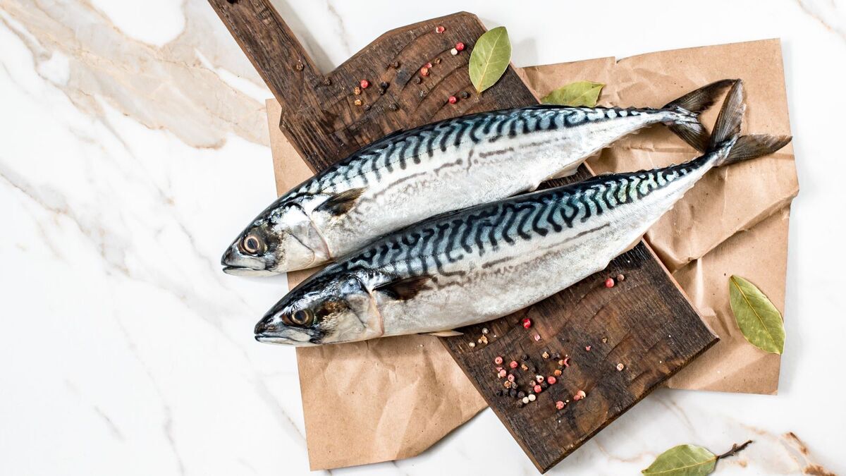 Эксперт по снижению веса Обложко назвал 3 причины есть скумбрию