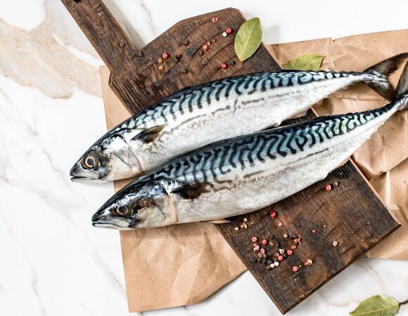 Эксперт по снижению веса Обложко назвал 3 причины есть скумбрию