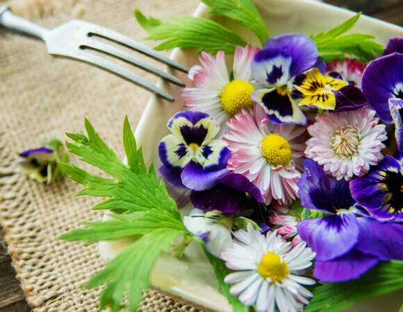 Ботаник Филоненко назвал вкусные цветы, которые пригодятся на кухне: от одуванчиков до "волшебного синего чая"