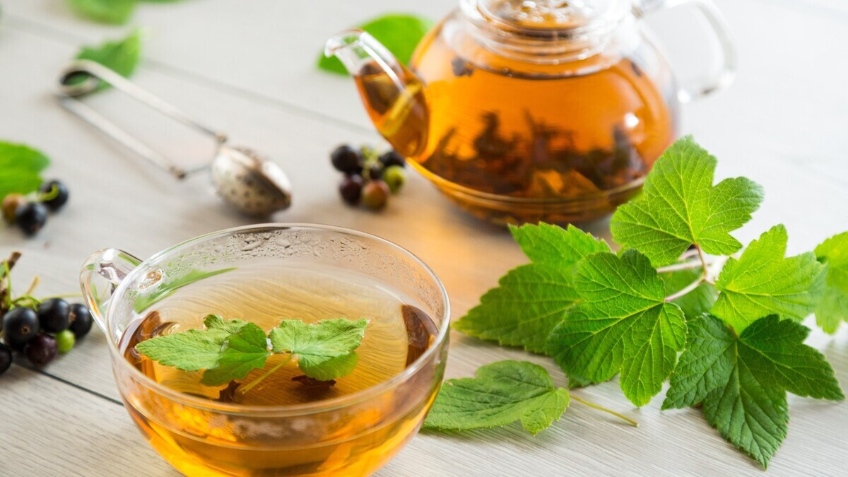 Аптечка на грядке: авторский чай из листьев смородины и малины, чтобы не болеть