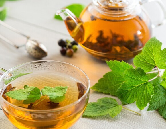 Аптечка на грядке: авторский чай из листьев смородины и малины, чтобы не болеть