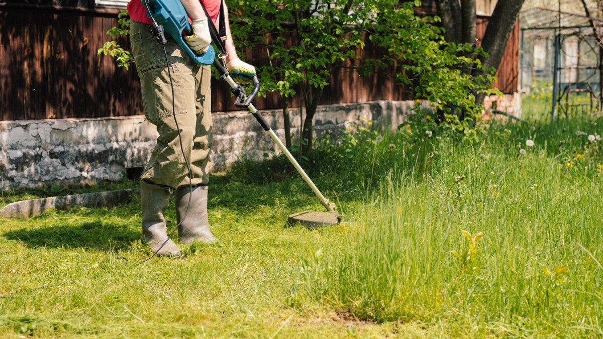Дача вместо спорта: фитнес-тренер Тарасенко рассказала, сколько калорий сжигает прополка и копка