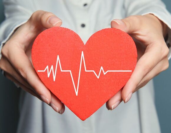 Диетолог Мойсенко перечислила продукты для здоровья сердца: эти 4 нутриента необходимы нашему "мотору"