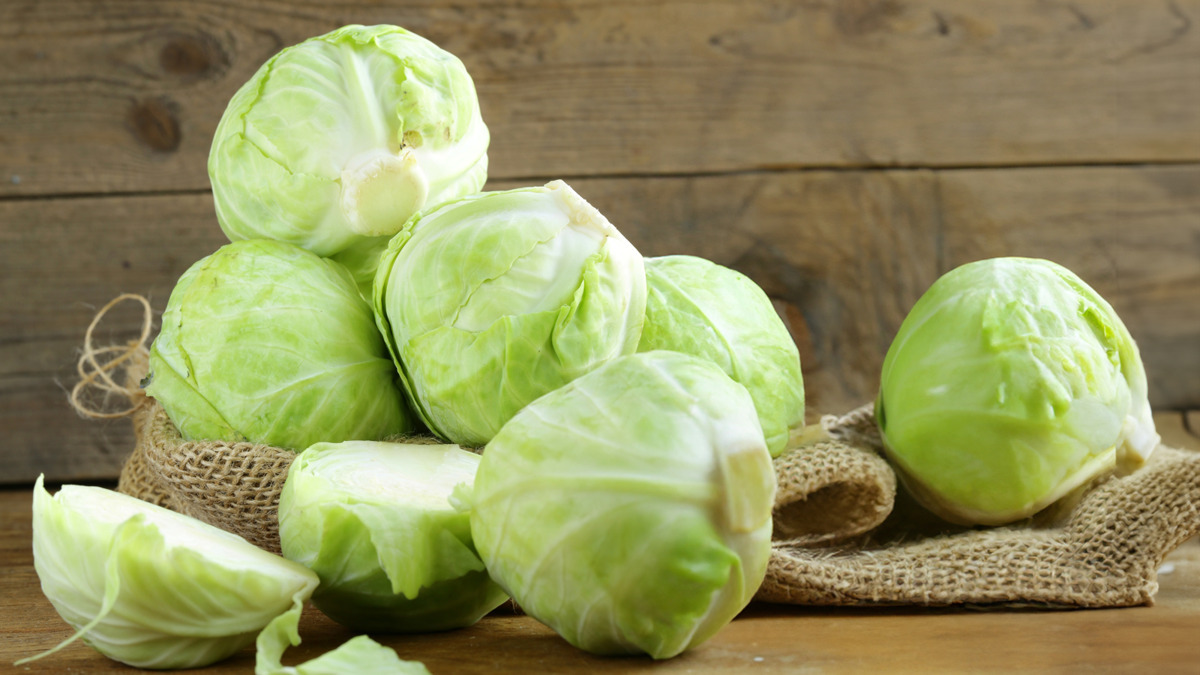 Забыла про перекусы и тяжесть в животе — поделюсь несложным капустным рецептом Забыла про перекусы и тяжесть в животе — поделюсь несложным капустным рецептом