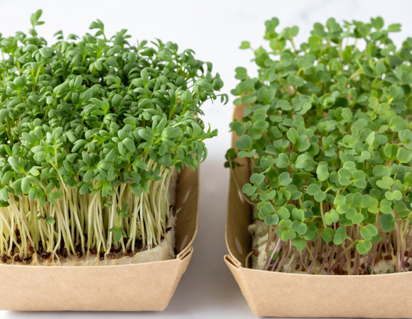 Почему я добавляю кресс-салат в каждый весенний салат — теперь не болею и не чихаю