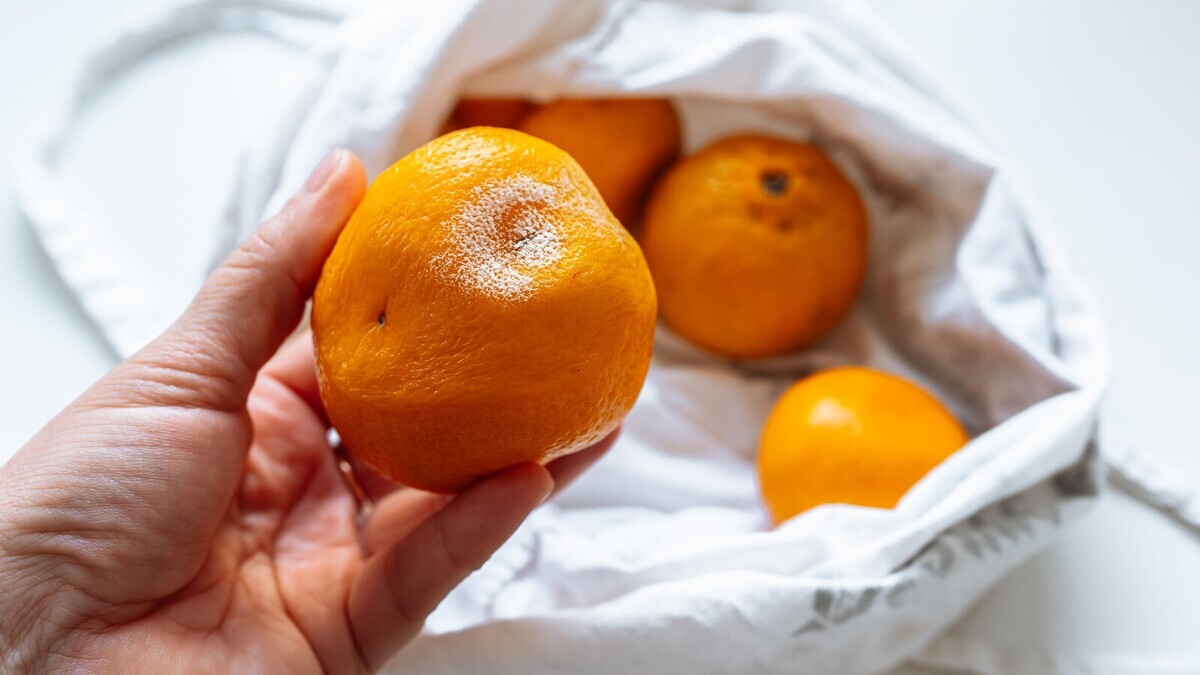 Адвокат Князев рассказал, как вернуть деньги за продукт с плесенью: есть 3 способа