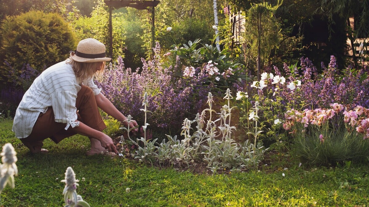 Красный бодрит, синий успокаивает: психолог рассказала, какие цветы посадить для души