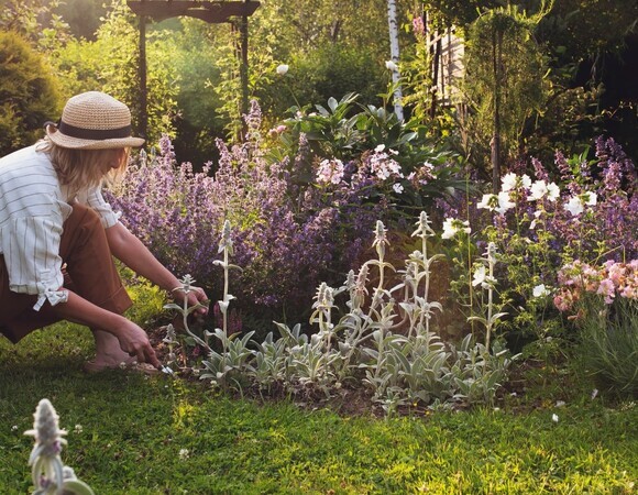 Красный бодрит, синий успокаивает: психолог рассказала, какие цветы посадить для души