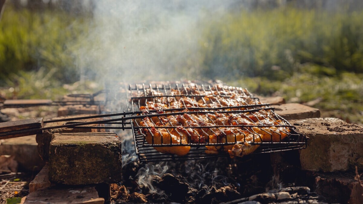Штраф за шашлык: адвокат Андрей Князев объяснил, где в городах можно жарить мясо