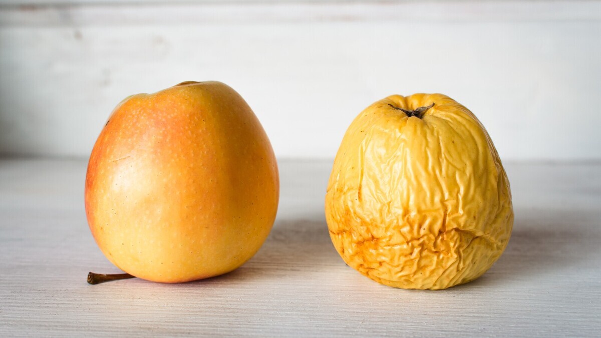 Не выбрасывайте сморщенные яблоки — будут полезны сердцу и кишечнику, говорят блогеры и ученые 