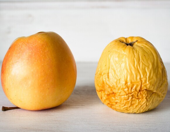 Не выбрасывайте сморщенные яблоки — будут полезны сердцу и кишечнику, говорят блогеры и ученые 