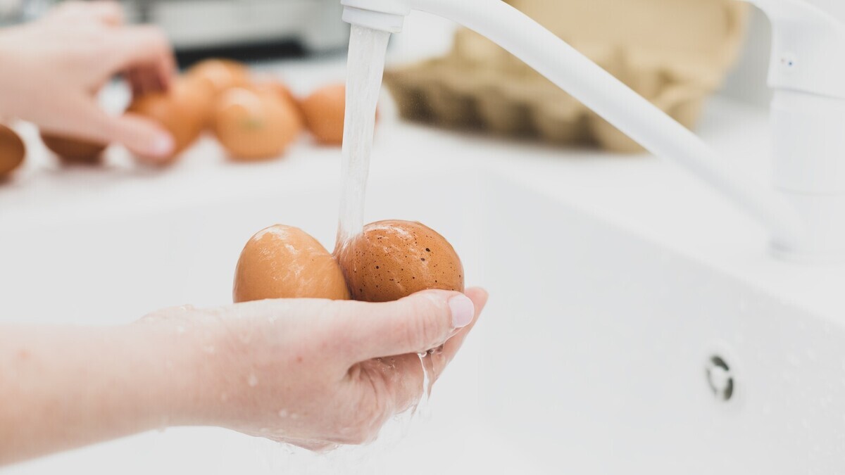 Мыть или не мыть яйца перед варкой: диетолог указала на правило, которое нарушают почти все