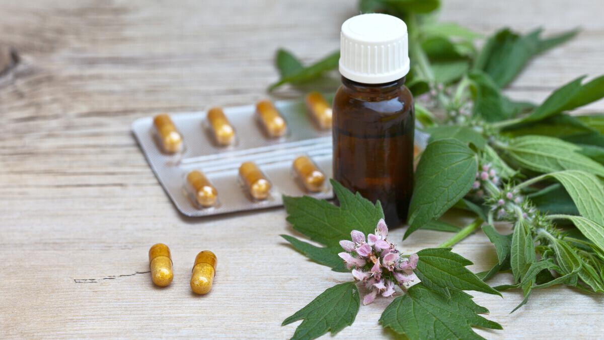 Не просто травки: кардиолог назвала побочные эффекты популярных "успокоительных" — валерианы и пустырника