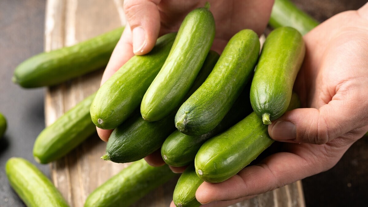 Есть и сгонять отеки: диетолог назвала безопасный способ убрать лишнюю воду