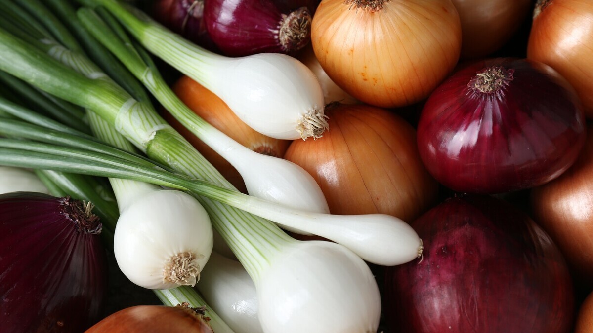 Какой лук полезнее — репчатый или зеленый: диетолог Мухина дала неожиданный ответ
