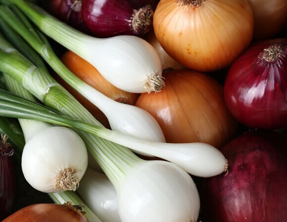 Какой лук полезнее — репчатый или зеленый: диетолог Мухина дала неожиданный ответ