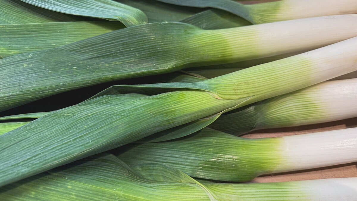 Чем лук-порей отличается от репчатого: на 3 особенности указала диетолог Мухина 