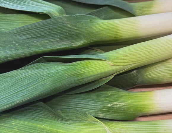 Чем лук-порей отличается от репчатого: на 3 особенности указала диетолог Мухина 