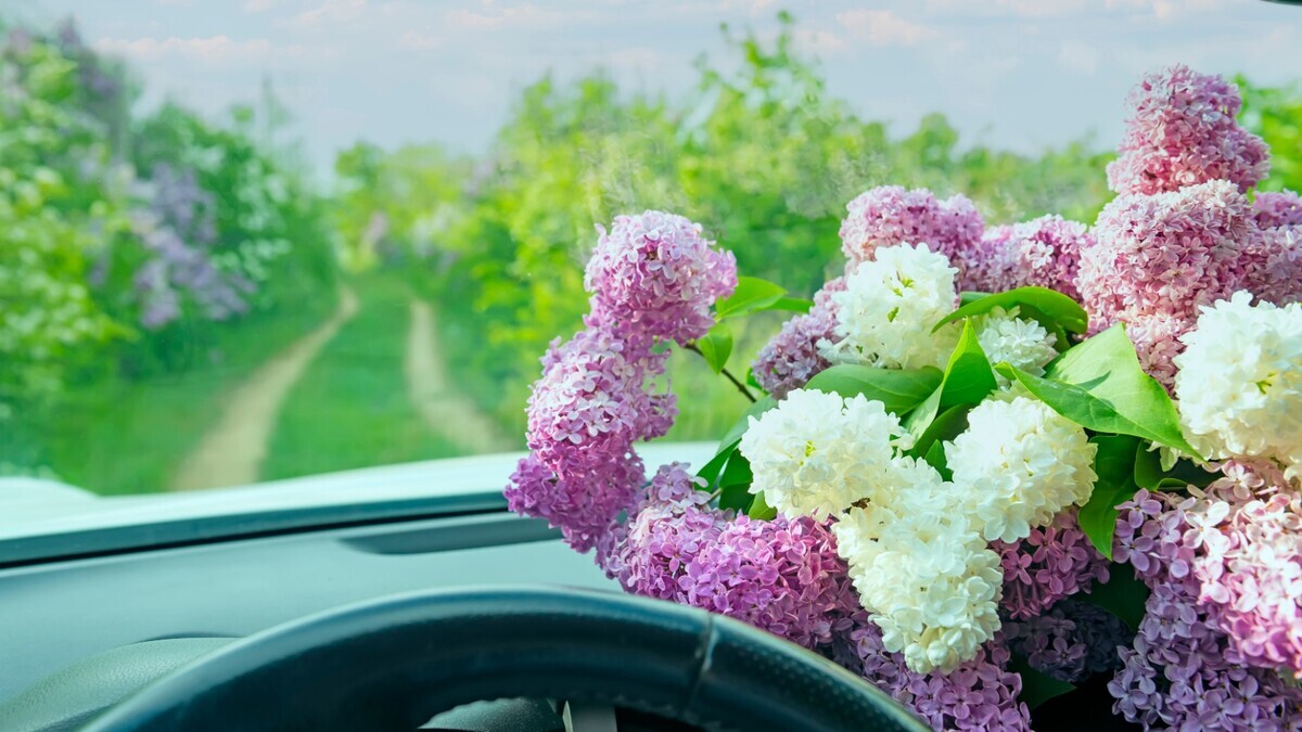 Как спланировать майские праздники, чтобы успеть и отдохнуть, и поработать на даче
