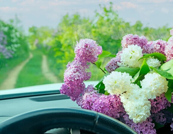 Как спланировать майские праздники, чтобы успеть и отдохнуть, и поработать на даче