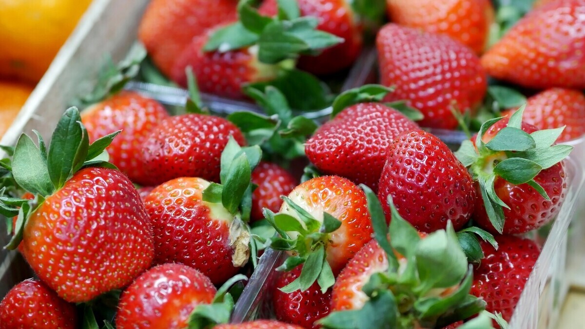 Под видом домашней клубники подсовывают китайскую: как не оказаться обманутыми? 