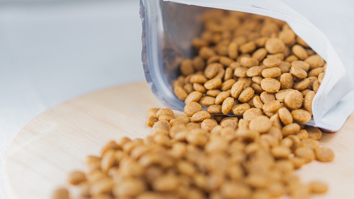 В Сети советуют добирать белок собачим кормом: врач Комиссарова объяснила, чем это может обернуться