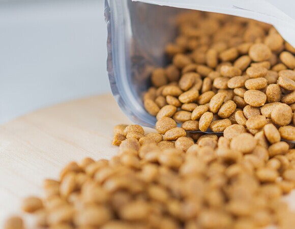 В Сети советуют добирать белок собачим кормом: врач Комиссарова объяснила, чем это может обернуться