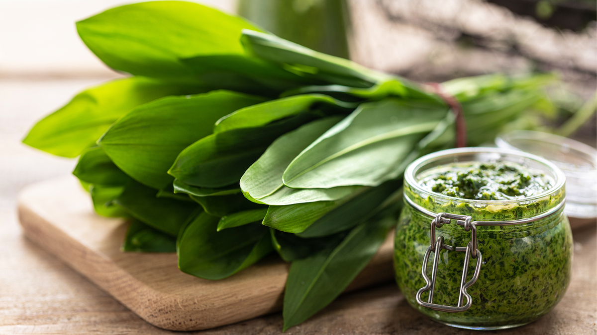 Сезон черемши в разгаре: масло, майонез и песто с диким чесноком за 15 минут