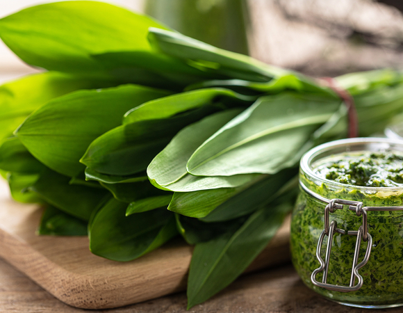 Сезон черемши в разгаре: масло, майонез и песто с диким чесноком за 15 минут