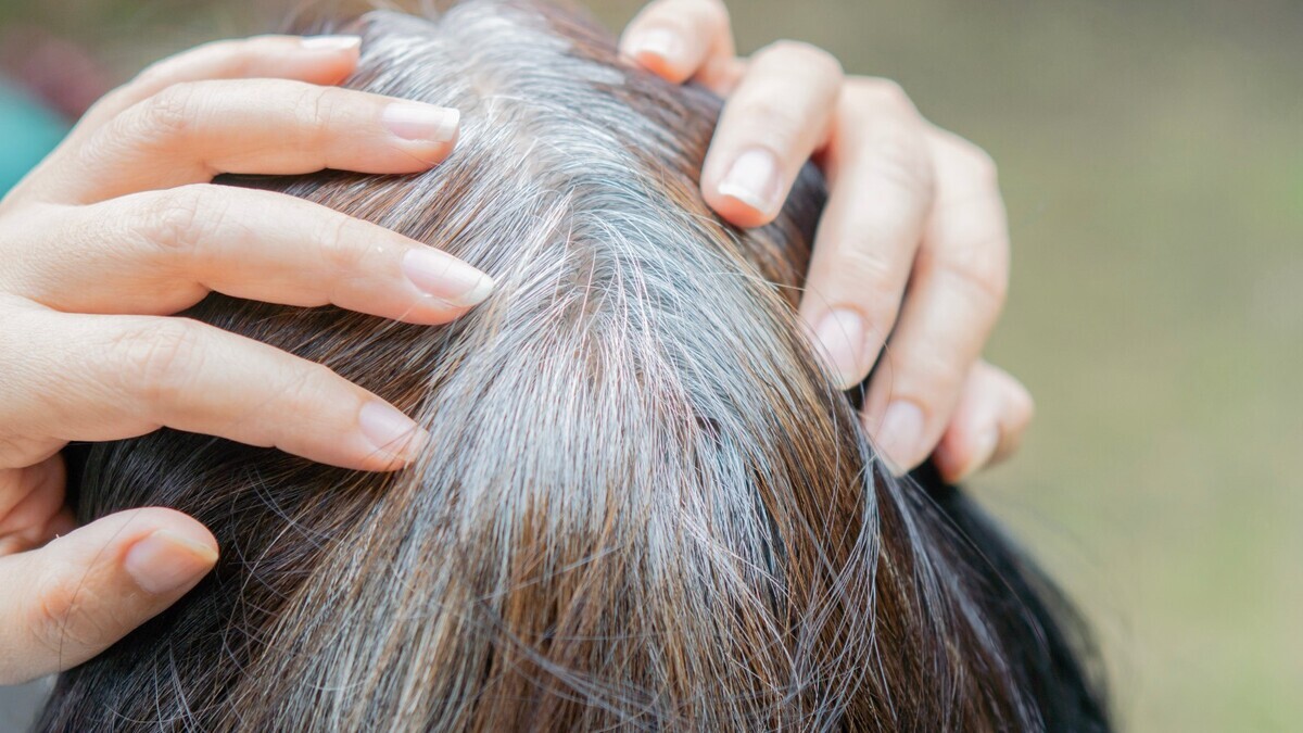 Диетолог Писарева: 4 продукта, без которых волосы седеют быстрее