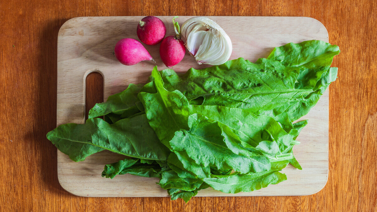 Не выбрасываю ботву редиса: готовлю весенний салат, который вкуснее всех привычных Не выбрасываю ботву редиса: готовлю весенний салат, который вкуснее всех привычных