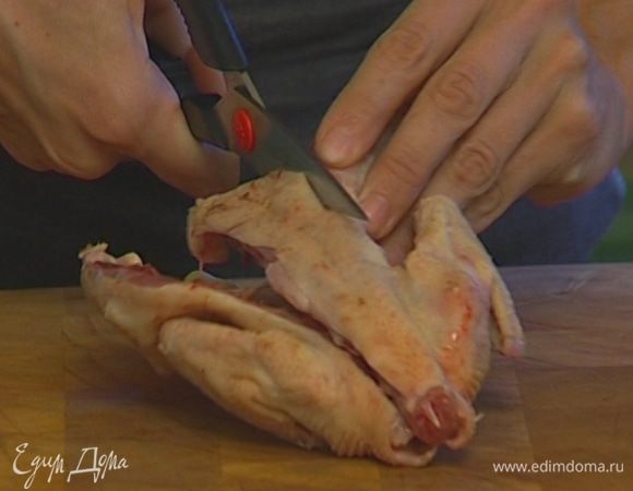У каждой тушки цыпленка вырезать ножницами спинную кость.