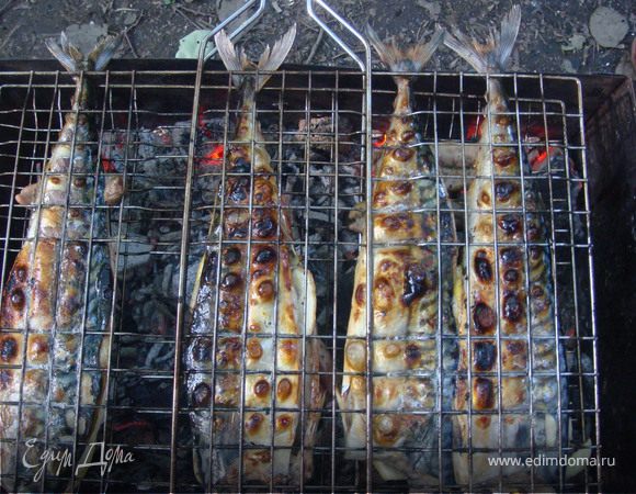 Скумбрию почистить, вымыть. Аккуратно сделать продольные надрезы на спинке.Лимон очистить от цедры, чтобы избежать возможной горечи, нарезать на дольки, и положить в надрезы. Так же и с луком - нарезать колечками и положить и в спинку, и в брюшко.Посолить, посыпать специями, дать настояться какое-то время и жарить на гриле. На природе - просто сказка!