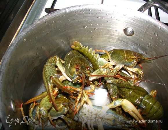 рака промыть в холодной воде, не содержащей хлорки. проверить каждого. уснувший, а тем более дохлый рак - страшный яд. кладем в кастрюлю с широким дно и наливаем холодной воды до середины корпуса верхнего рака. ставим на огонь. 