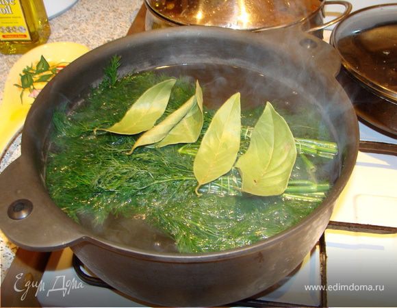 Закладываю в кастрюлю с водой укроп 4 пучка, 2 столовых ложки соли с горкой (узнала, что раки любят соль), перец, лаврушку, луковицу. Довожу до кипения