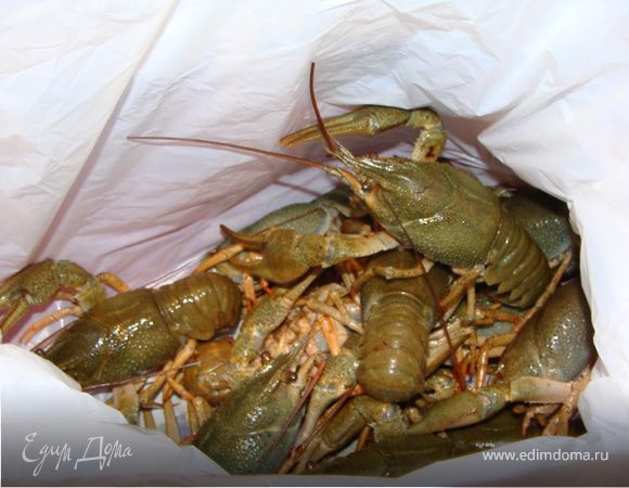 Раки должны быть шустрыми, а не сонными, а про умерших вообще говорить не хочется. Отправляю их в кипяток.